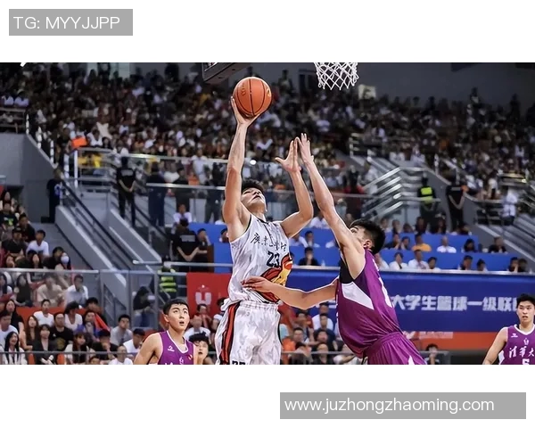 陈磊篮球生涯回顾与展望对话分享运动精神与成长故事